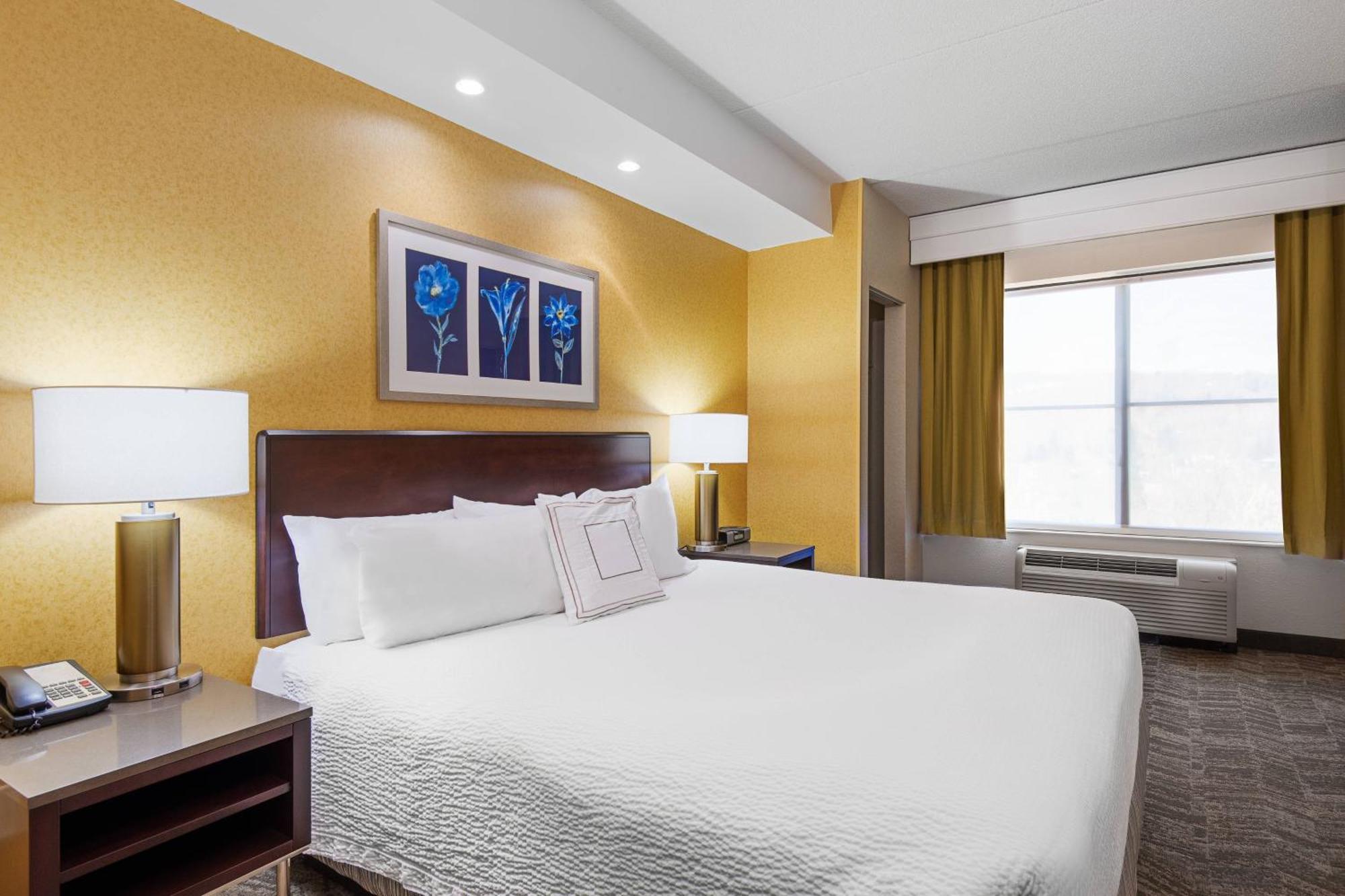Springhill Suites By Marriott Wheeling Triadelphia Area Exteriér fotografie